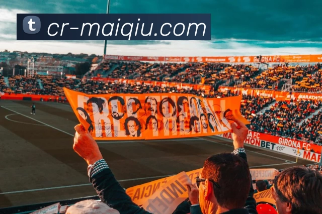 买球赛事预测平台生态图